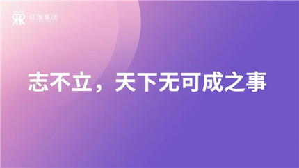 1625107215628508.jpg 4.jpg